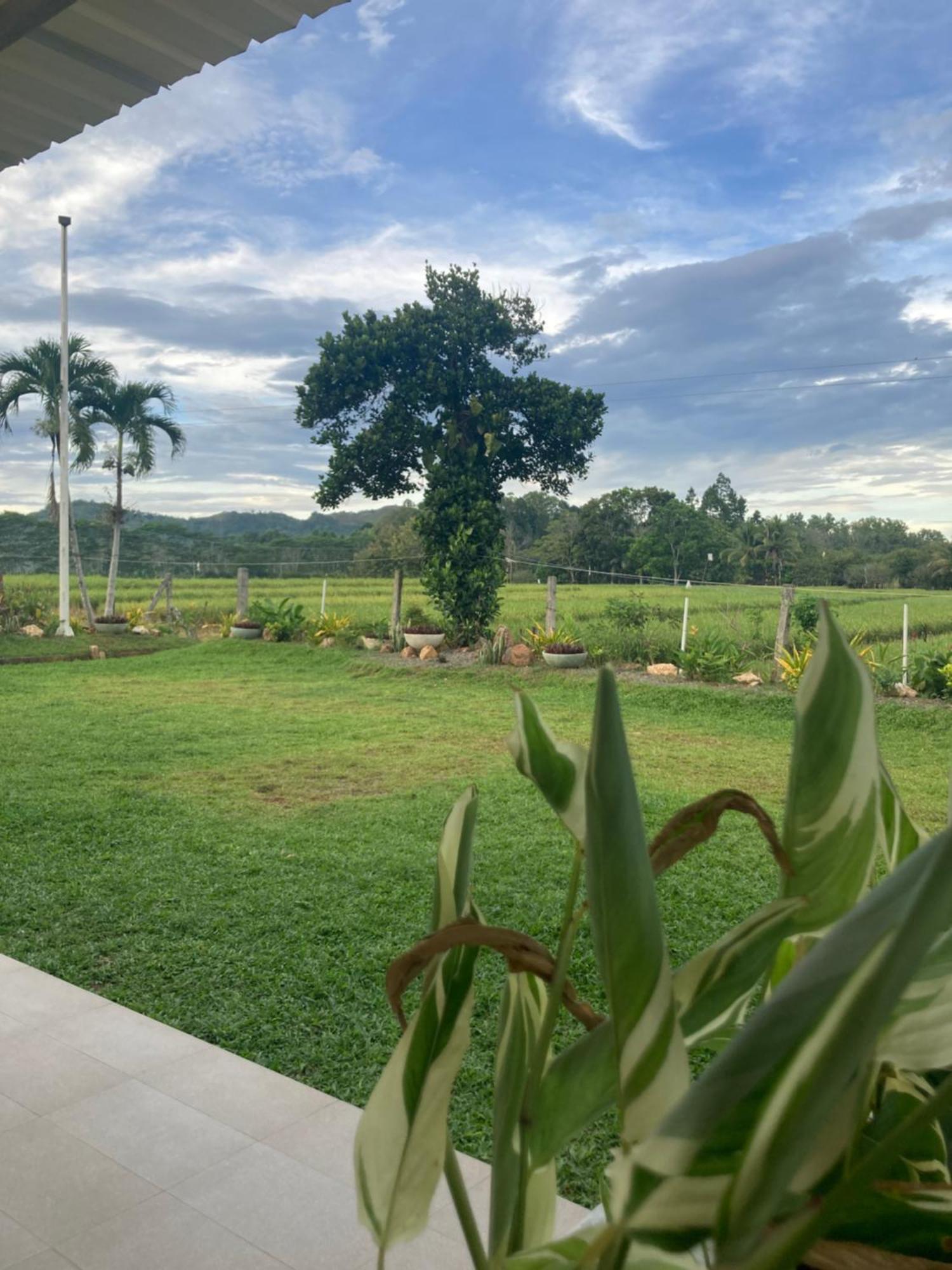 The Eliana Farm Resort And Villas Manolo Fortich Exterior foto